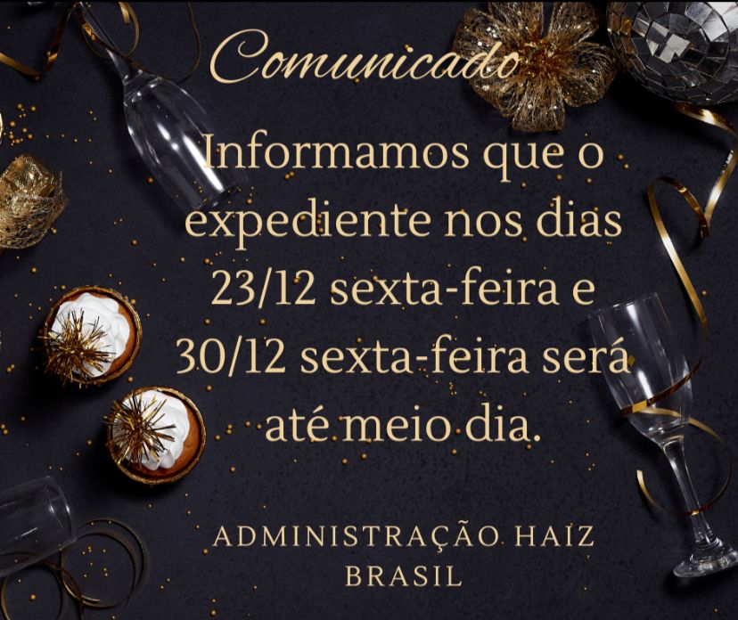 FESTAS DE FIM DE ANO 2022